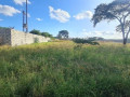 land-for-sale-in-makeni-bonaventure-small-2