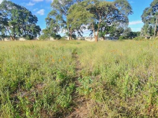 Land For Sale in Makeni Bonaventure