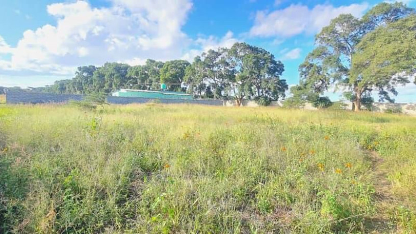 land-for-sale-in-makeni-bonaventure-big-1