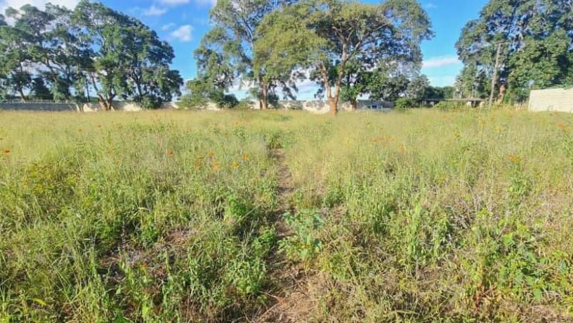 land-for-sale-in-makeni-bonaventure-big-0