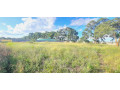 land-for-sale-in-makeni-bonaventure-small-1