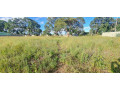 land-for-sale-in-makeni-bonaventure-small-0