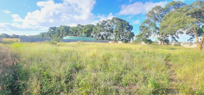 land-for-sale-in-makeni-bonaventure-big-1