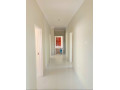 4-bedroomed-house-for-sale-in-ibex-hill-small-7