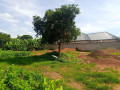 40m-by-50m-plot-for-sale-in-makeni-bonaventure-small-2