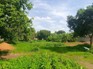 40m by 50m Plot For Sale in Makeni Bonaventure