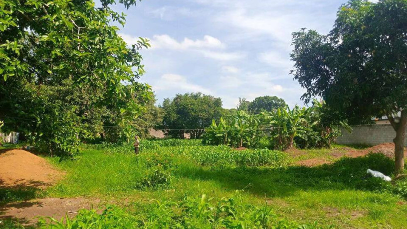 40m-by-50m-plot-for-sale-in-makeni-bonaventure-big-3