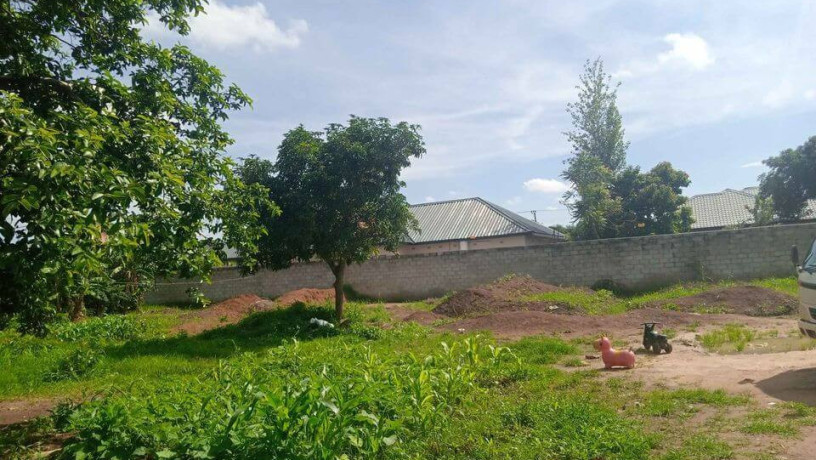 40m-by-50m-plot-for-sale-in-makeni-bonaventure-big-1