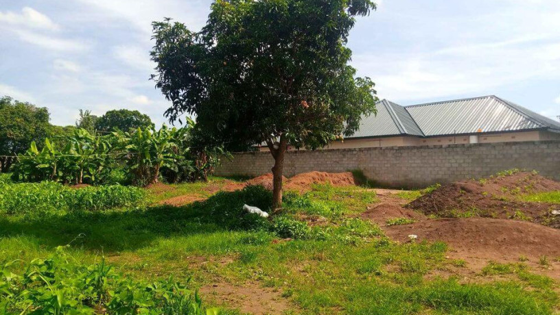 40m-by-50m-plot-for-sale-in-makeni-bonaventure-big-2