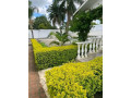 4-bedroom-house-for-sale-in-olympia-extension-small-2