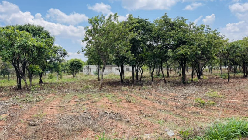 42-acres-land-for-sale-in-new-kasama-big-3