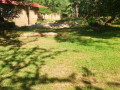 60-acre-farm-for-sale-in-kafue-small-6