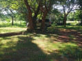 60-acre-farm-for-sale-in-kafue-small-9