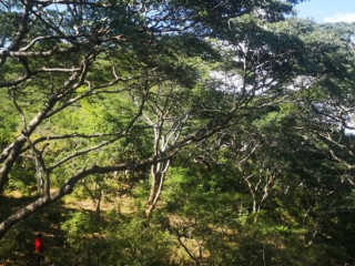 60 Acre Farm For Sale In Kafue