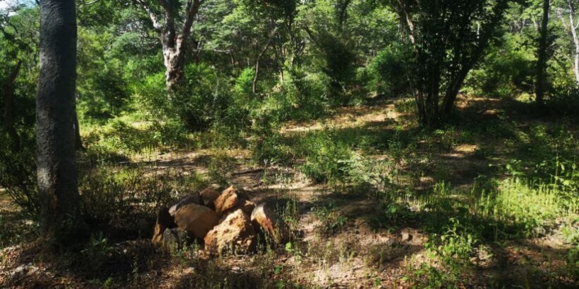 60-acre-farm-for-sale-in-kafue-big-2