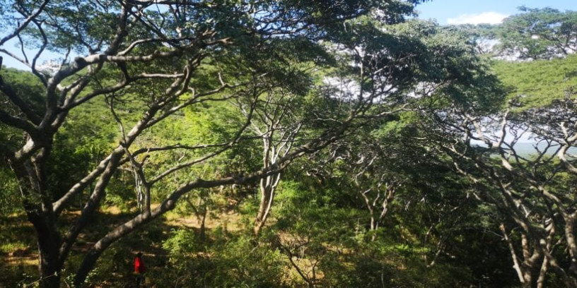 60-acre-farm-for-sale-in-kafue-big-1