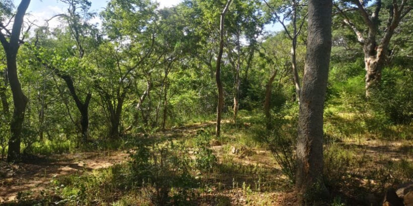 60-acre-farm-for-sale-in-kafue-big-3