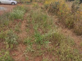 20m-by-35m-plot-for-sale-in-10-miles-small-2