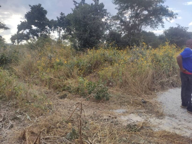 20m-by-35m-plot-for-sale-in-10-miles-big-4