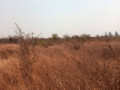 5-acres-plot-for-sale-in-lusaka-west-small-1