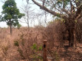 5-acres-plot-for-sale-in-lusaka-west-small-2