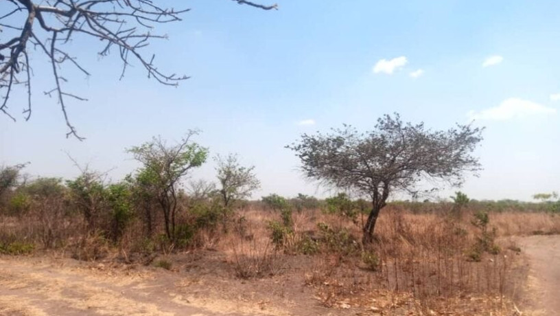 5-acres-plot-for-sale-in-lusaka-west-big-4