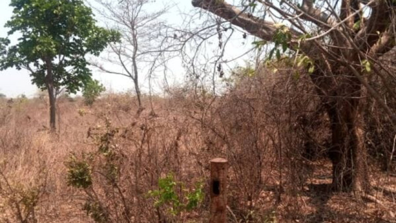 5-acres-plot-for-sale-in-lusaka-west-big-2