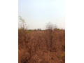 5-acres-plot-for-sale-in-lusaka-west-small-6