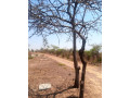 5-acres-plot-for-sale-in-lusaka-west-small-3