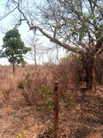 5-acres-plot-for-sale-in-lusaka-west-big-2