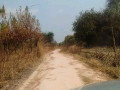 farm-for-sale-in-mufulira-small-2