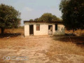 farm-for-sale-in-mufulira-small-3