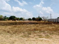 land-for-sale-in-ibex-main-small-4