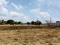 land-for-sale-in-ibex-main-small-3