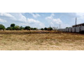 land-for-sale-in-ibex-main-small-4