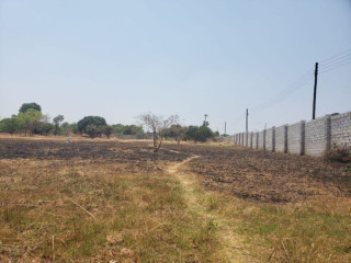 land-for-sale-in-ibex-main