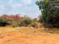 5-acre-land-for-sale-in-ibex-hill-small-3