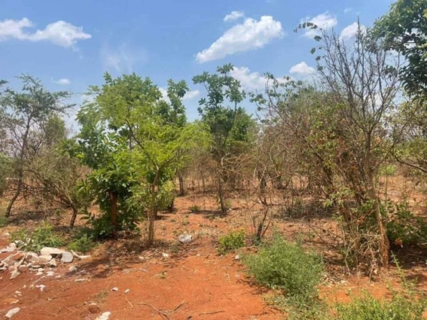 44m-by-33m-plot-for-sale-in-ibex-meanwood-big-2
