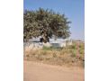 30m-by-20m-plot-for-sale-in-meanwood-chamba-valley-small-5