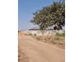 30m-by-20m-plot-for-sale-in-meanwood-chamba-valley-small-4