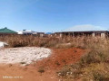 prime-plot-for-sale-in-lilayi-small-2