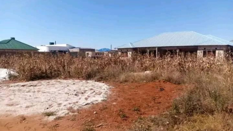 prime-plot-for-sale-in-lilayi-big-2