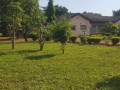 farm-house-for-rent-in-new-kasama-small-5