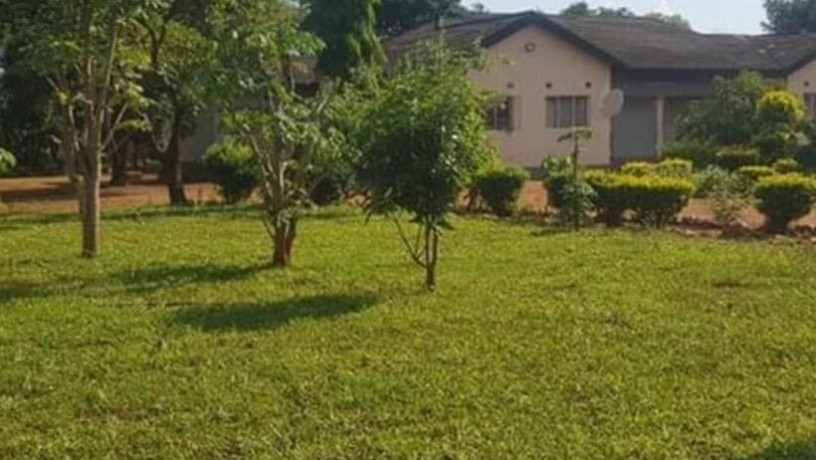 farm-house-for-rent-in-new-kasama-big-5