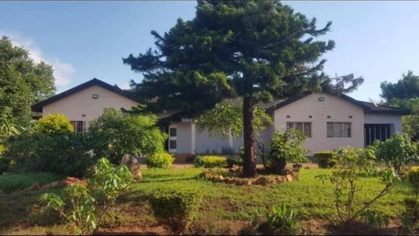 farm-house-for-rent-in-new-kasama-big-0