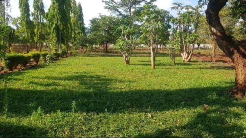 farm-house-for-rent-in-new-kasama-big-1