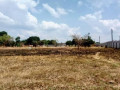 plots-for-sale-in-ibex-hill-small-3