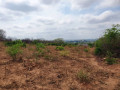 vacant-land-for-sale-in-foxdale-small-3