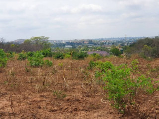 Vacant Land For Sale in Foxdale