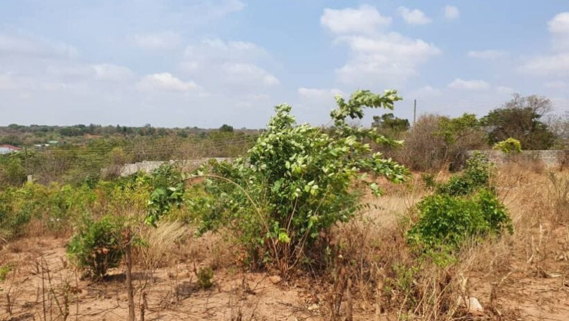 vacant-land-for-sale-in-foxdale-big-2